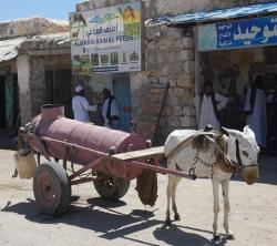 Donkey cart in front of animal feed store